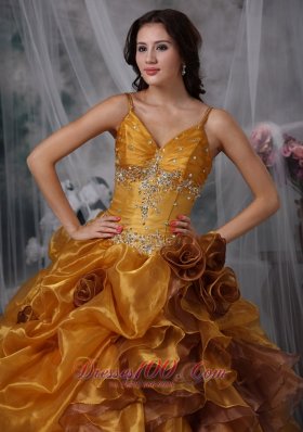 Brown Ball Gown Straps Organza Beading Quinceanera Dress